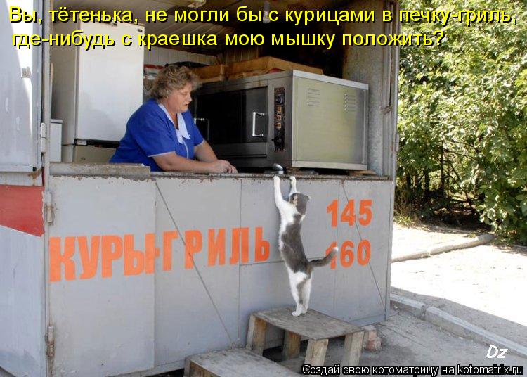 Котоматрица: Вы, тётенька, не могли бы с курицами в печку-гриль, где-нибудь с краешка мою мышку положить?