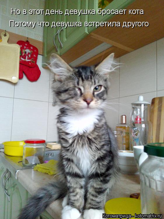 Котоматрица: Но в этот день девушка бросает кота Потому что девушка встретила другого
