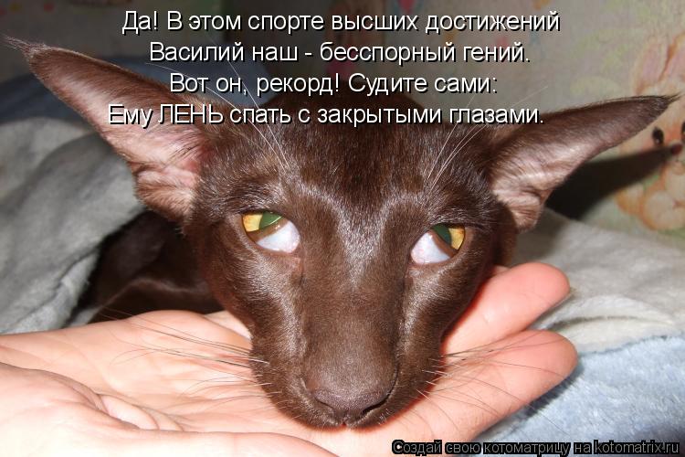 Котоматрица: Да! В этом спорте высших достижений Вот он, рекорд! Судите сами: Ему ЛЕНЬ спать с закрытыми глазами. Василий наш - бесспорный гений.