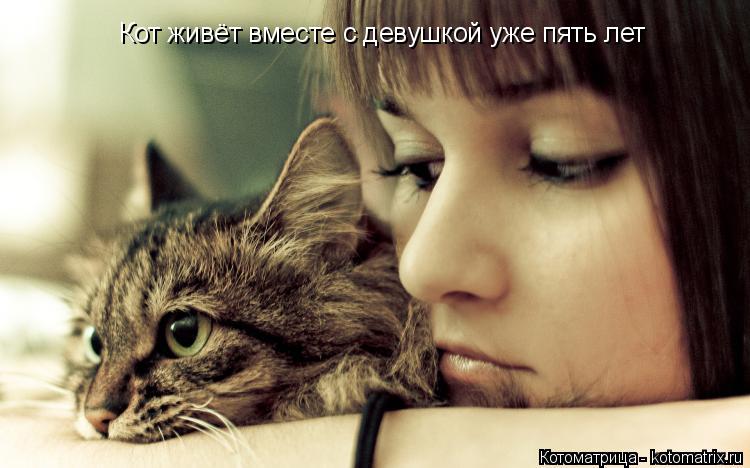 Кот живёт вместе с девушкой уже пять лет... Котоматрица: Кот живёт вместе с девушкой уже пять лет