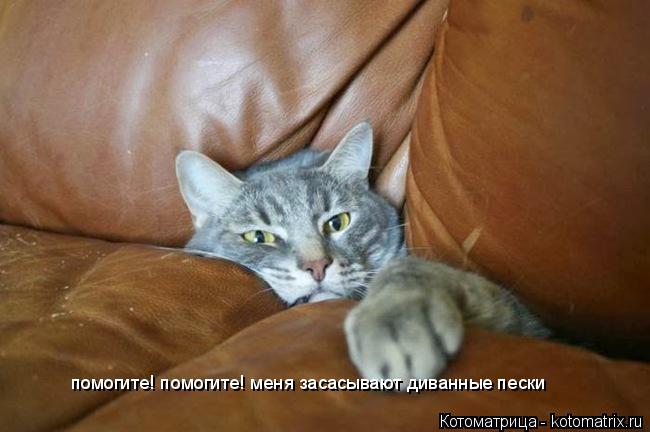 Котоматрица: помогите! помогите! меня засасывают диванные пески