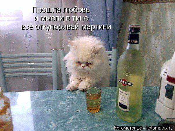 Прошла любовь и мысли в тине всё откупоривай мартини... Котоматрица: Прошла любовь и мысли в тине всё откупоривай мартини