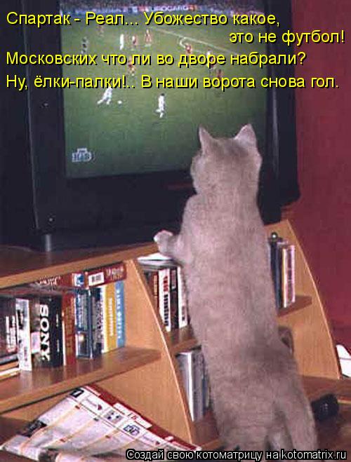 Котоматрица: Спартак - Реал... Убожество какое, это не футбол! Московских что ли во дворе набрали? Ну, ёлки-палки!.. В наши ворота снова гол.