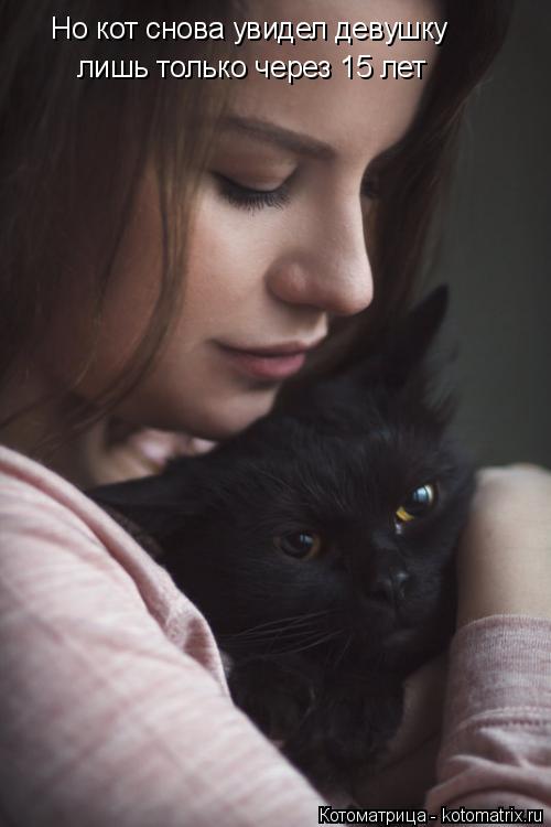 Котоматрица: Но кот снова увидел девушку лишь только через 15 лет