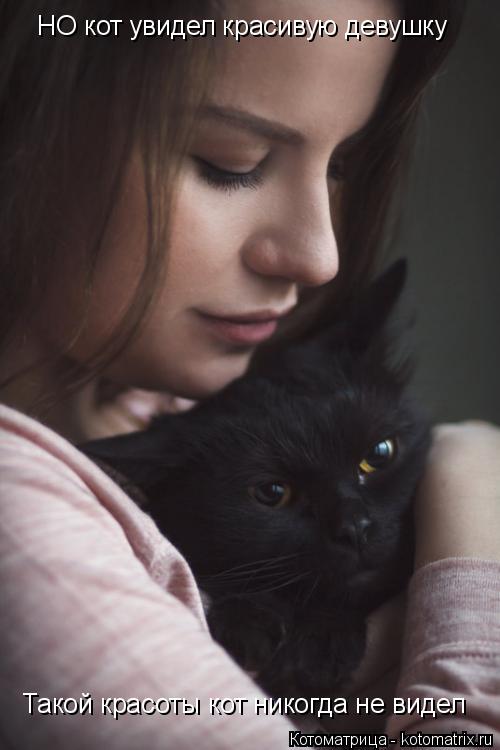 НО кот увидел красивую девушку Такой красоты кот никогда не видел... Котоматрица: НО кот увидел красивую девушку Такой красоты кот никогда не видел