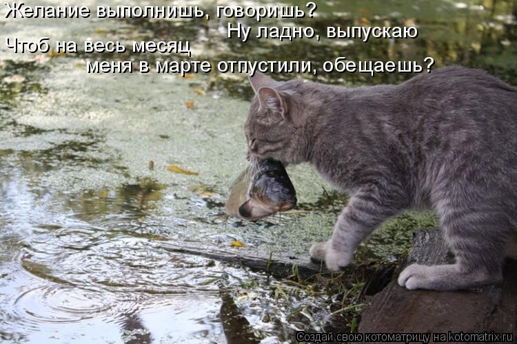 Желание выполнишь, говоришь? Чтоб на весь месяц меня в марте отпустили, обещаешь? Ну ладно, выпускаю... Котоматрица: Желание выполнишь, говоришь? Чтоб на весь месяц меня в марте отпустили, обещаешь? Ну ладно, выпускаю