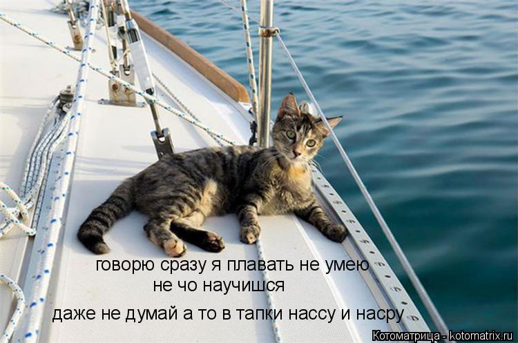 Котоматрица: говорю сразу я плавать не умею не чо научишся даже не думай а то в тапки нассу и насру
