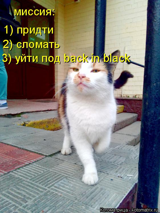 миссия: 1) придти 2) сломать 3) уйти под back in black... Котоматрица: миссия: 1) придти 2) сломать 3) уйти под back in black