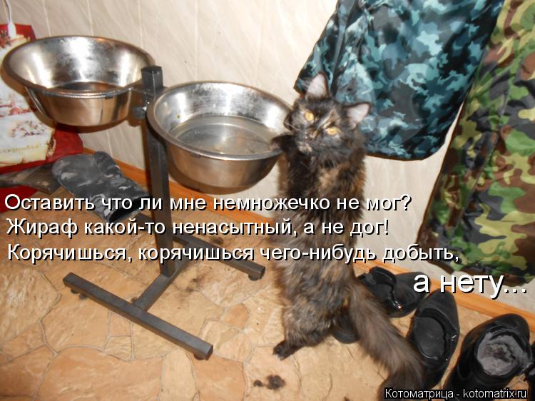 Оставить что ли мне немножечко не мог? Жираф какой-то ненасытный, а не дог! Корячишься, корячишься че... Котоматрица: Оставить что ли мне немножечко не мог? Жираф какой-то ненасытный, а не дог! Корячишься, корячишься чего-нибудь добыть, а нету...