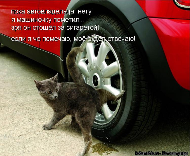 Котоматрица: я машиночку пометил... зря он отошёл за сигаретой! пока автовладельца  нету если я чо помечаю, моё будет, отвечаю!