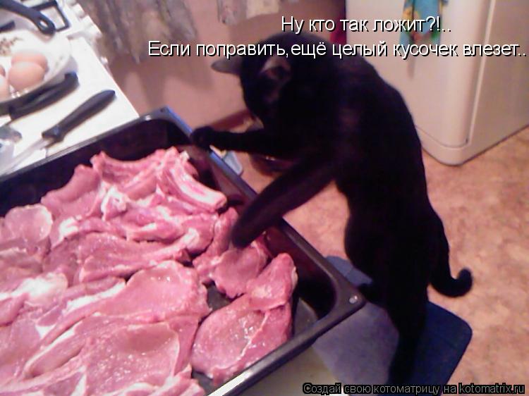Ну кто так ложит?!.. Если поправить,ещё целый кусочек влезет..... Котоматрица: Ну кто так ложит?!.. Если поправить,ещё целый кусочек влезет..