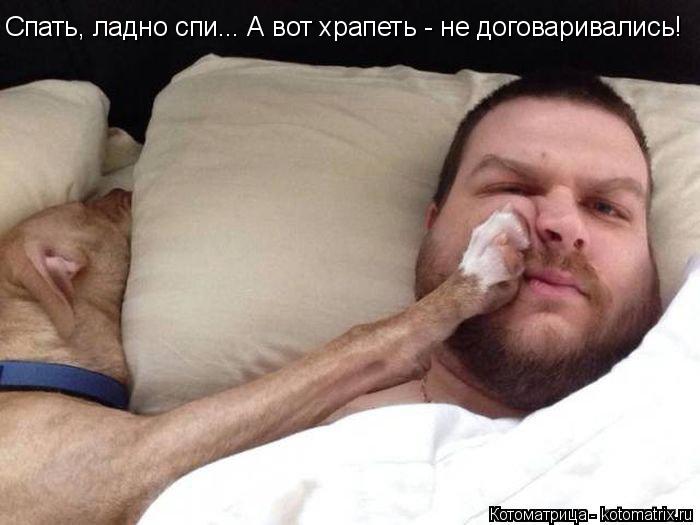 Котоматрица: Спать, ладно спи... А вот храпеть - не договаривались!