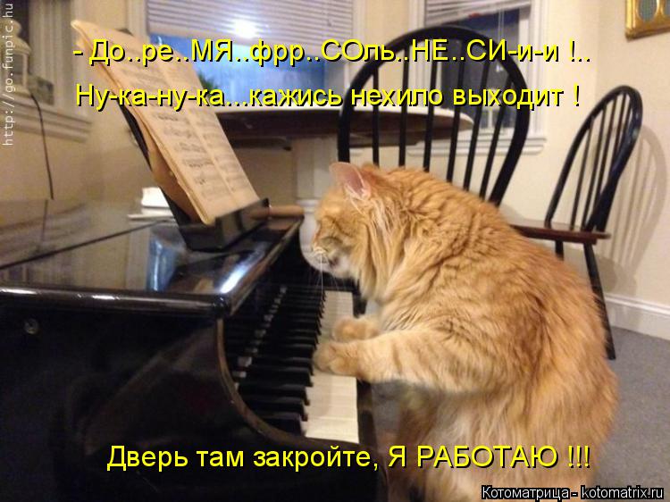 Котоматрица: - До..ре..МЯ..фрр..СОль..НЕ..СИ-и-и !.. Ну-ка-ну-ка...кажись нехило выходит ! Дверь там закройте, Я РАБОТАЮ !!!