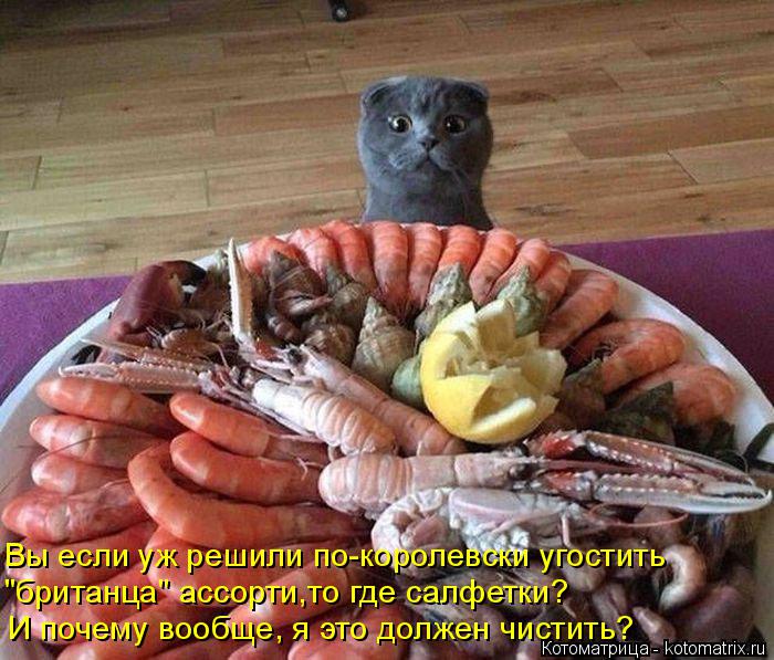 Вы если уж решили по-королевски угостить "британца" ассорти,то где салфетки? И почему вообще, я это д... Котоматрица: Вы если уж решили по-королевски угостить "британца" ассорти,то где салфетки? И почему вообще, я это должен чистить?