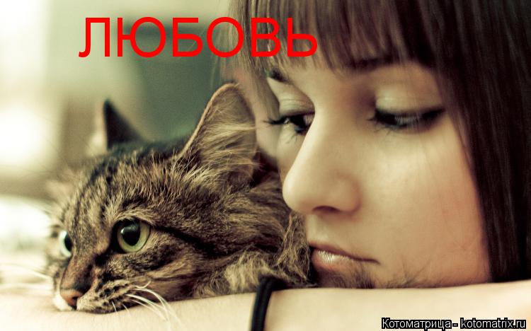 ЛЮБОВЬ... Котоматрица: ЛЮБОВЬ
