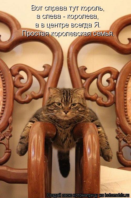 Котоматрица: Вот справа тут король, а слева - королева, а в центре всегда Я. Простая королевская семья.