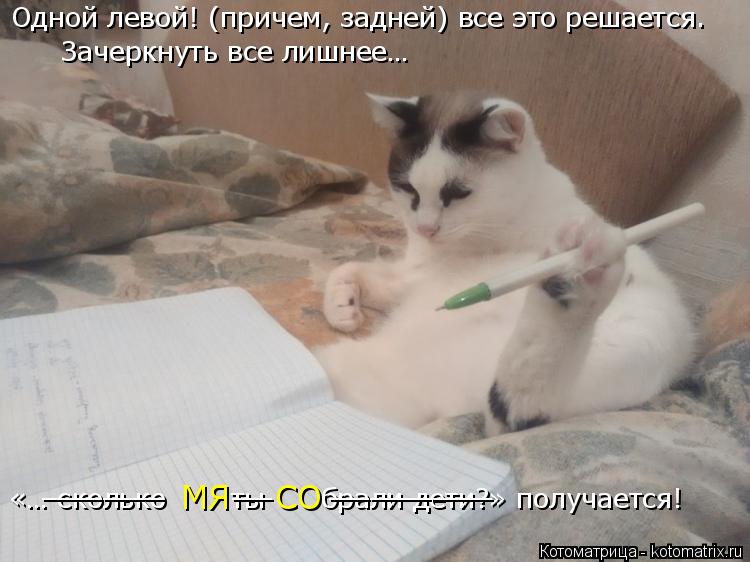 Котоматрица: Зачеркнуть все лишнее… «… сколько       ты      брали дети?» получается! МЯ    СО ______      __     ________ Одной левой! (причем, задней) все это решается.