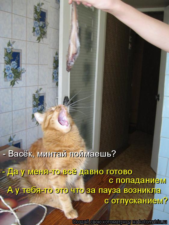 - Васёк, минтай поймаешь? - Да у меня-то всё давно готово с попаданием А у тебя-то это что за пауза в... Котоматрица: - Васёк, минтай поймаешь? - Да у меня-то всё давно готово с попаданием А у тебя-то это что за пауза возникла с отпусканием?