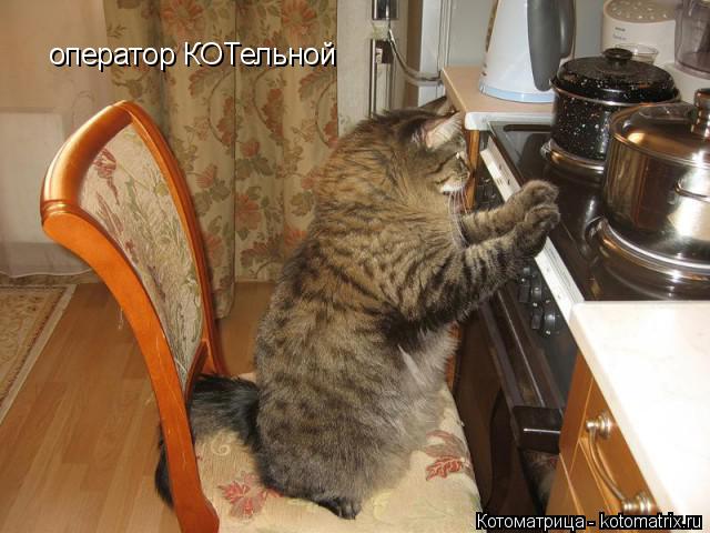 Котоматрица: оператор КОТельной