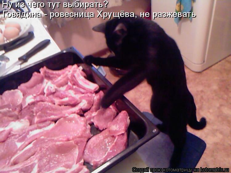 Ну из чего тут выбирать? Говядина - ровесница Хрущёва, не разжевать... Котоматрица: Ну из чего тут выбирать? Говядина - ровесница Хрущёва, не разжевать
