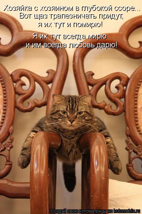 Котоматрица: Хозяйка с хозяином в глубокой ссоре... Вот щаз трапезничать придут, я их тут и помирю! Я их тут всегда мирю и им всегда любовь дарю!