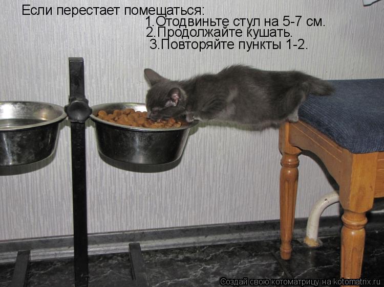 Котоматрица: Если перестает помещаться: 1.Отодвиньте стул на 5-7 см. 2.Продолжайте кушать.  3.Повторяйте пункты 1-2.