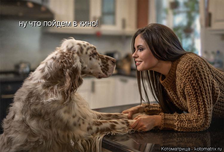 Котоматрица: ну что пойдем в кино!