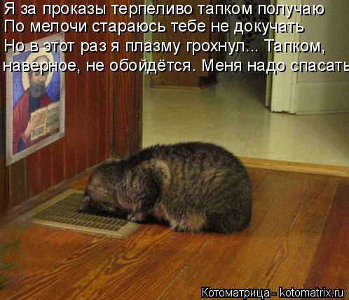 Котоматрица: Но в этот раз я плазму грохнул... Тапком, наверное, не обойдётся. Меня надо спасать! Я за проказы терпеливо тапком получаю По мелочи стараюсь 