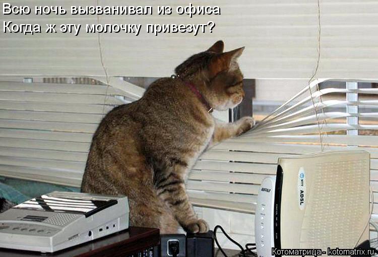 Котоматрица: Всю ночь вызванивал из офиса Когда ж эту молочку привезут?