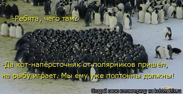 -Ребята, чего там? -Да кот-напёрсточник от полярников пришёл, на рыбу играет. Мы ему уже полтонны до... Котоматрица: -Ребята, чего там? -Да кот-напёрсточник от полярников пришёл, на рыбу играет. Мы ему уже полтонны должны!