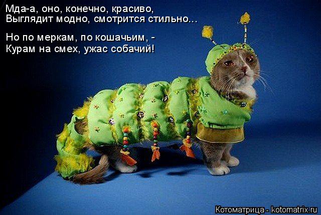 Котоматрица: Мда-а, оно, конечно, красиво,  Выглядит модно, смотрится стильно...  Но по меркам, по кошачьим, -  Курам на смех, ужас собачий!