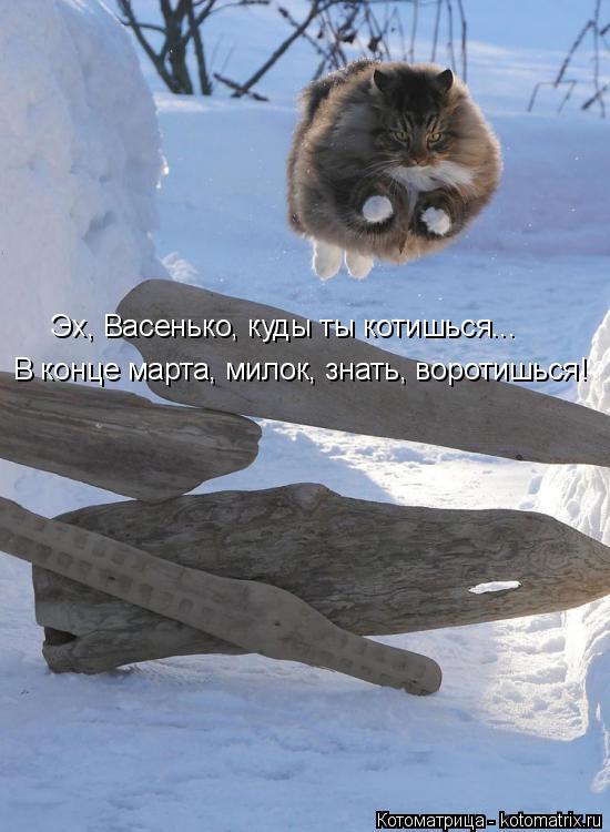 Котоматрица: В конце марта, милок, знать, воротишься! Эх, Васенько, куды ты котишься...