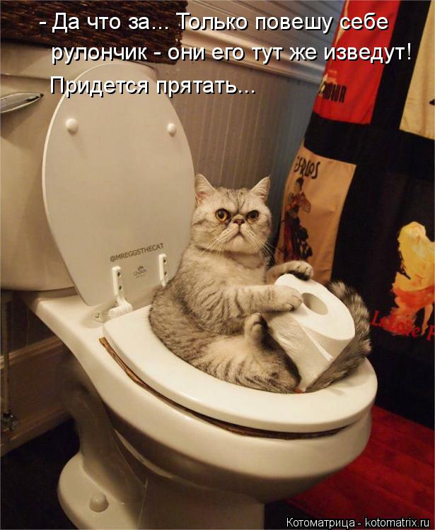 Котоматрица: - Да что за... Только повешу себе  рулончик - они его тут же изведут! Придется прятать...
