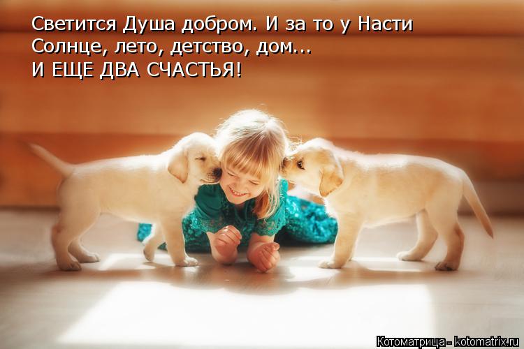 Котоматрица: Светится Душа добром. И за то у Насти Солнце, лето, детство, дом... И ЕЩЕ ДВА СЧАСТЬЯ!
