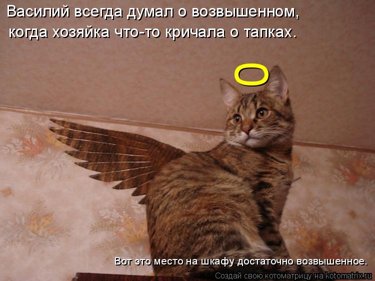 Котоматрица: 0  Василий всегда думал о возвышенном, когда хозяйка что-то кричала о тапках. Вот это место на шкафу достаточно возвышенное.