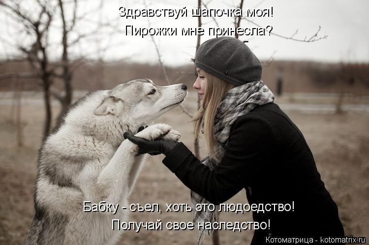 Котоматрица: Здравствуй шапочка моя! Пирожки мне принесла? Получай свое наследство! Бабку - съел, хоть это людоедство!