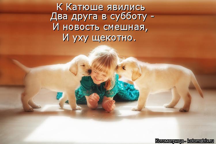 Котоматрица: К Катюше явились Два друга в субботу - И новость смешная, И уху щекотно.