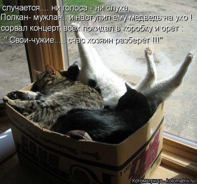 Котоматрица: случается.... ни голоса - ни слуха, Полкан- мужлан.. и наступил ему медведь на ухо ! сорвал концерт, всех покидал в коробку и орёт :  " Свои-чужие...