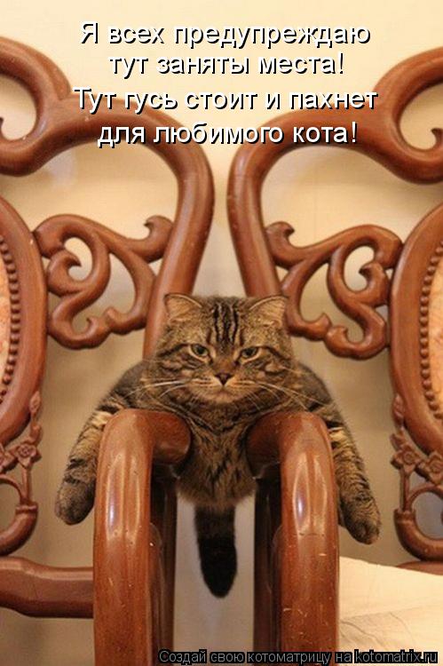 Котоматрица: Я всех предупреждаю тут заняты места! Тут гусь стоит и пахнет для любимого кота!