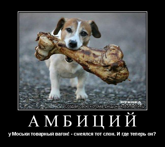 Котоматрица: АМБИЦИЙ  у Моськи товарный вагон! - смеялся тот слон. И где теперь он?