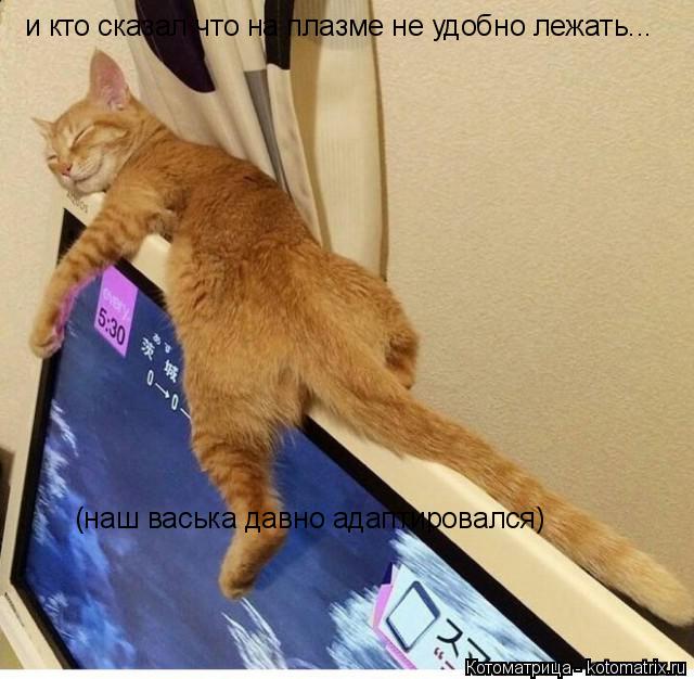 Котоматрица: и кто сказал что на плазме не удобно лежать... (наш васька давно адаптировался)