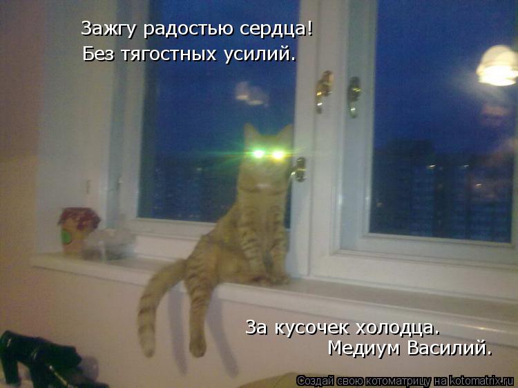 Котоматрица: Без тягостных усилий. Зажгу радостью сердца! За кусочек холодца. Медиум Василий.