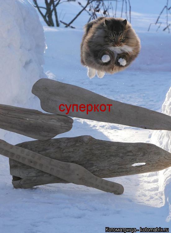 суперкот... Котоматрица: суперкот
