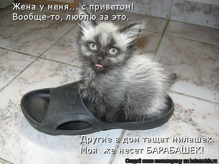 Жена у меня... с приветом! Вообще-то, люблю за это. Другие в дом тащат милашек. Моя же несет БАРАБАШ... Котоматрица: Жена у меня... с приветом! Вообще-то, люблю за это. Другие в дом тащат милашек. Моя же несет БАРАБАШЕК!
