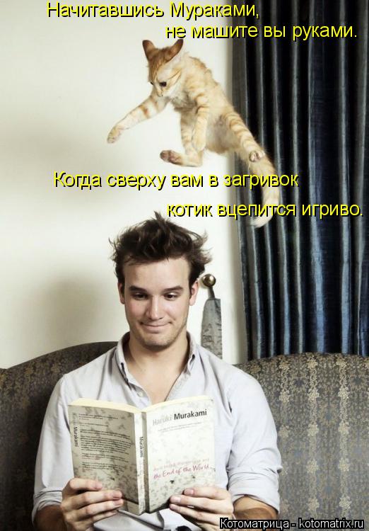Котоматрица: Начитавшись Мураками,  не машите вы руками. Когда сверху вам в загривок котик вцепится игриво.