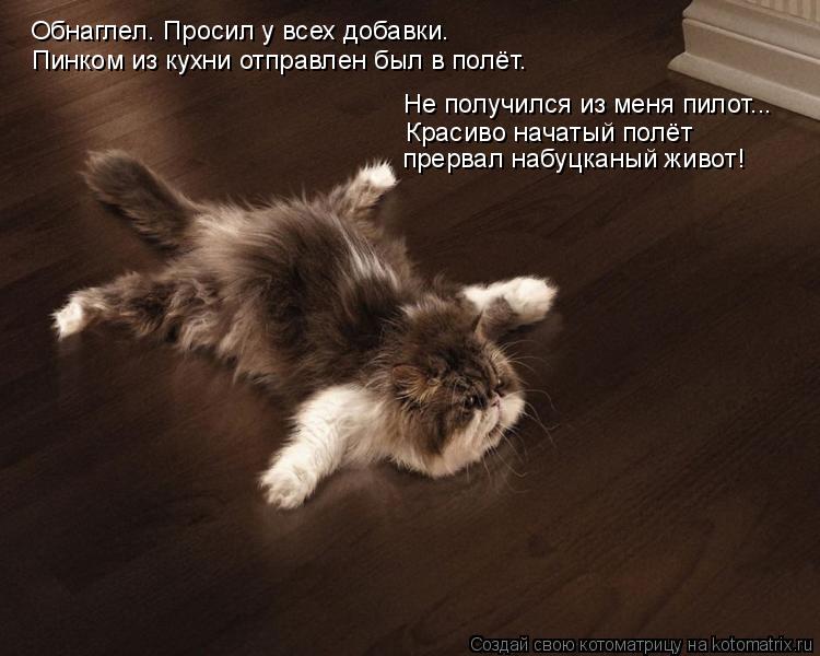 Обнаглел. Просил у всех добавки. Пинком из кухни отправлен был в полёт. Не получился из меня пилот...... Котоматрица: Обнаглел. Просил у всех добавки. Пинком из кухни отправлен был в полёт. Не получился из меня пилот... Красиво начатый полёт прервал набуцкан