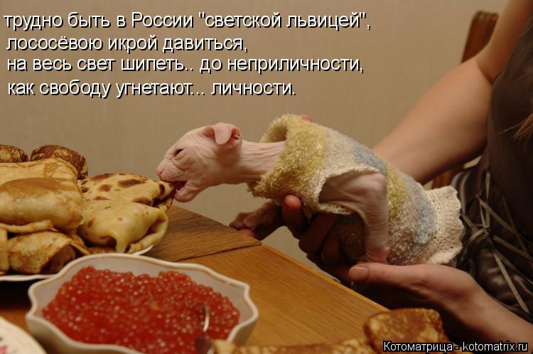 Котоматрица: трудно быть в России "светской львицей", лососёвою икрой давиться, на весь свет шипеть.. до неприличности, как свободу угнетают... личности.