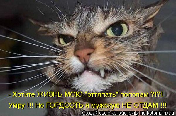- Хотите ЖИЗНЬ МОЮ "оттяпать" пополам ?!?! Умру !!! Но ГОРДОСТЬ я мужскую НЕ ОТДАМ !!!... Котоматрица: - Хотите ЖИЗНЬ МОЮ "оттяпать" пополам ?!?! Умру !!! Но ГОРДОСТЬ я мужскую НЕ ОТДАМ !!!