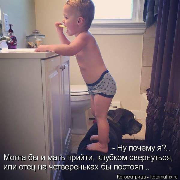 Котоматрица: - Ну почему я?.. Могла бы и мать прийти, клубком свернуться,  или отец на четвереньках бы постоял...