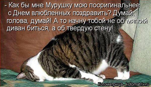- Как бы мне Мурушку мою пооригинальнее с Днем влюбленных поздравить? Думай, голова, думай! А то начн... Котоматрица: - Как бы мне Мурушку мою пооригинальнее с Днем влюбленных поздравить? Думай, голова, думай! А то начну тобой не об мягкий диван биться, а об тв